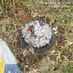 Timestamp Gravel around conduit in flowerpot